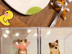 -柴务处·柴犬主题狗咖