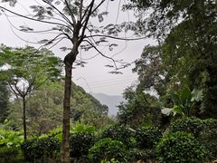 -广州市帽峰山景区