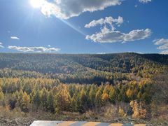 -塞罕坝国家级自然保护区