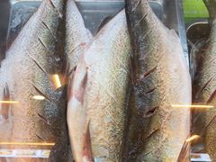 -老味道1992(武当山店)