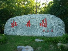 景点-上海海湾国家森林公园