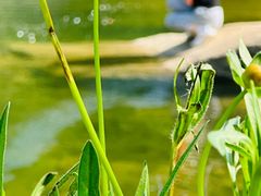 -姚家山旅游风景区