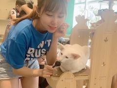 -飞行喵MR PILOT|猫舍·猫咖(静安大融城店)