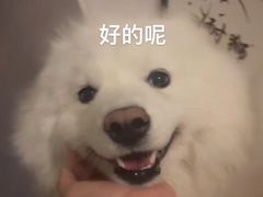 -芭比堂动物医院(广州爱宠下渡路分院)