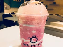 -飞行喵MR PILOT|猫舍·猫咖(静安大融城店)