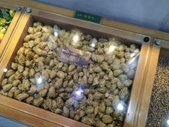 景点-青岛啤酒博物馆