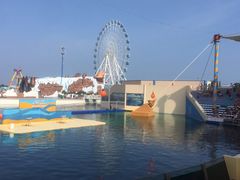 -秦皇岛乐岛海洋王国