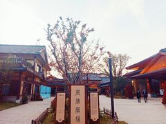 -诗经里