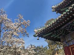 -潭柘寺景区