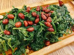 黄河苜蓿菜-衡哥肉铺