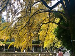 -四川大学(华西校区)