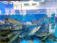 -淘米捞·米汤脆鲩鱼火锅(福田皇岗店)