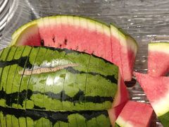 -煲宫猪肚鸡(昆山金鹰国际购物中心店)