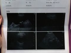 -宠爱国际动物医院·疑难骨科·心肾内科·皮肤科(太阳宫店)
