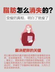 -Fundi张玉珊修身堂·indiba·BTL科技瘦身