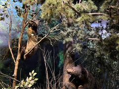 -陕西自然博物馆