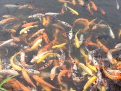 iphone_upload_pic-檀园