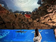 -南昌融创海世界