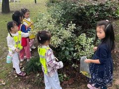 -杭州龙井幼儿园