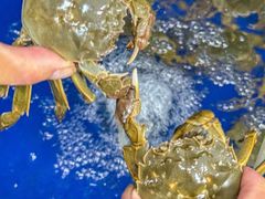 -阳澄湖大闸蟹·琼灵阁牌品牌连锁(吴中总店)