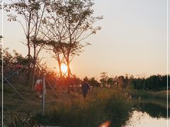 -福田红树林生态公园