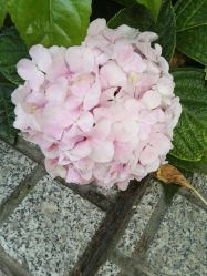 -唯伊美塑身美养连锁