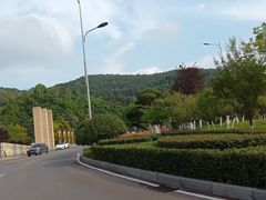 -铁山坪森林公园