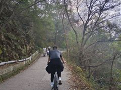 -紫金山山顶公园