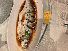 -金美华轩(东方路齐鲁店)