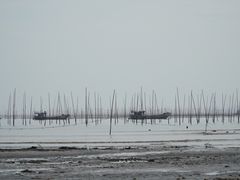 -小皓村