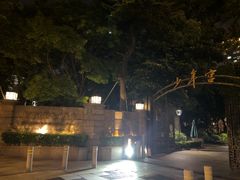 -中国福利会少年宫