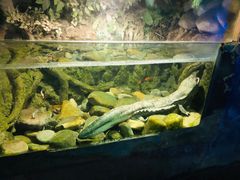 -洛阳龙门海洋馆