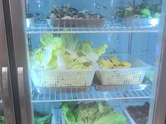 -金鼎雪山牦牛杂火锅(理县总店)