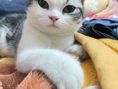 -探鱼·鲜青椒爽麻烤鱼(番禺万达店)