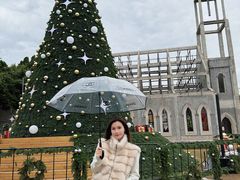 -中旅阿那亚九龙湖·公主酒店