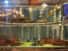 -大螃蟹海鲜餐厅
