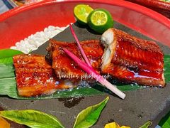 -一绪に寿喜烧自助(世茂广场店)