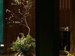 -曲廊院(东四十一条店)