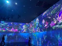 -中国湿地博物馆