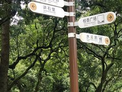 -张坝桂圆林公园