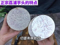 -家乐福(四元桥购物中心店)