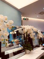 -Hair ART造型沙龙
