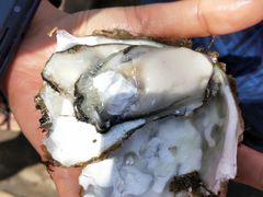-兴旺渔家