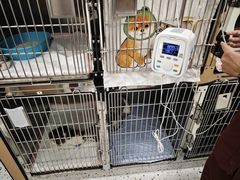 -瑞派康怡24h宠物医院·犬猫医疗中心·微创绝育(瑞景分院)