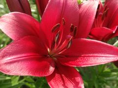 -长春公园(普阳街道)