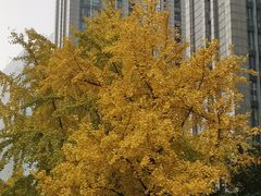 -长江路历史文化街区