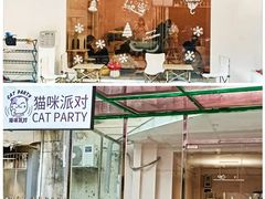 -猫咪派对(江南西店)