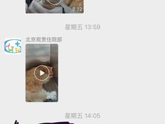 -北京观赏动物医院·24小时大型综合·猫专科·异宠专科