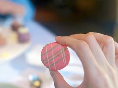 -蝶舍·MAISON PAPILLON