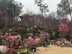 景点-秀丽东方